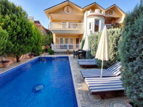 Dalyan Palace